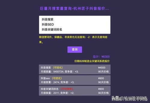 溫州抖音搜索SEO優(yōu)化推廣公司 2023年含詢(xún)價(jià)系統(tǒng)的技術(shù)推廣服務(wù)解析