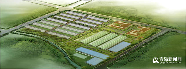 13個(gè)現(xiàn)代農(nóng)業(yè)項(xiàng)目落戶西海岸，總投資52億元